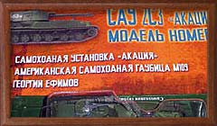 модель в блистере