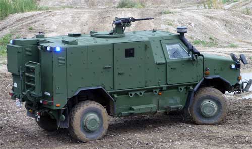 DINGO 2