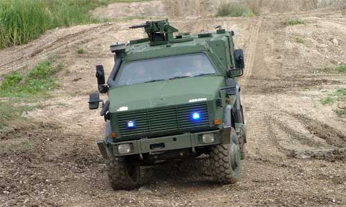 DINGO 2